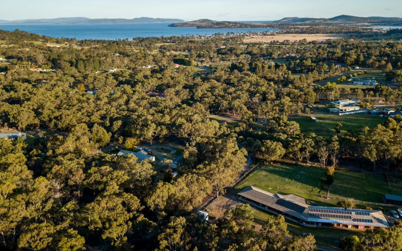 Acton Park Holiday Units Esterno foto